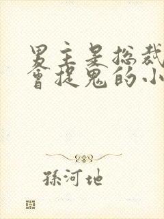 男主是总裁女主会捉鬼的小说