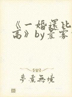 《一婚还比一婚高》by晨雾的光