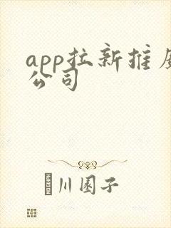 app拉新推广公司