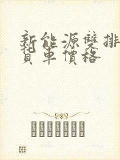 新能源双排座小货车价格