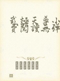 武极天尊小说免费阅读无弹窗