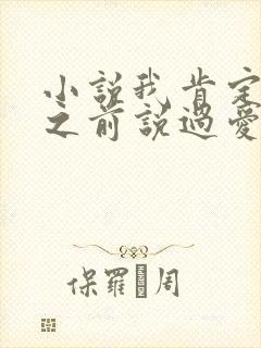 小说我肯定很久之前说过爱你小说