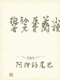 抱胁原著小说原著免费阅读