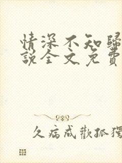 情深不知归处小说全文免费阅读