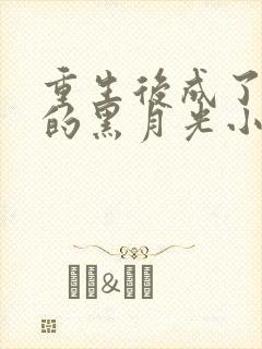 重生后成了首辅的黑月光小说