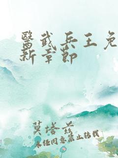 医武兵王免费最新章节