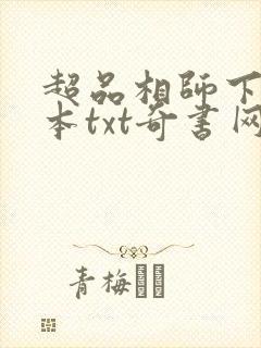 超品相师下载全本txt奇书网