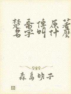 楚乔传原著小说名字叫什么