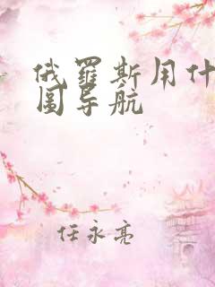 俄罗斯用什么地图导航