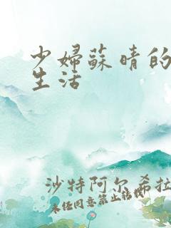 少妇苏晴的性荡生活