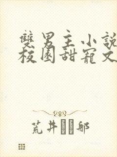 双男主小说推荐校园甜宠文