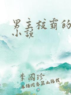 男主校霸的校园小说