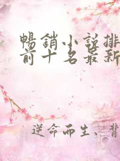畅销小说排行榜前十名最新