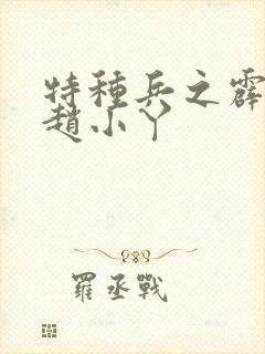 特种兵之霹雳火赵小丫