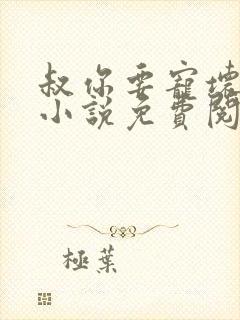 叔你要宠坏我了小说免费阅读