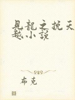 见龙之挽天倾穿越小说