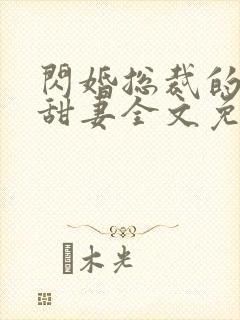 闪婚总裁的契约甜妻全文免费