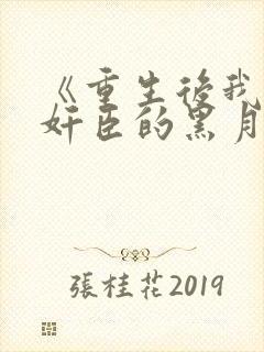 《重生后我成了奸臣的黑月光》