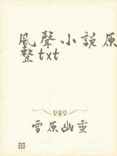 风声小说原著完整txt