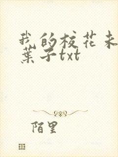 我的校花未婚妻叶子txt