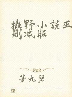 撒野小说巫哲未删减版