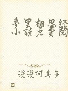 梦里相思终随风小说免费阅读无弹窗