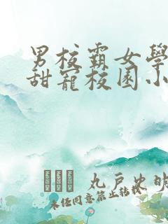 男校霸女学霸的甜宠校园小说