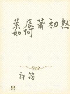 叶辰萧初然结局如何