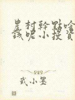 农村干点啥能挣钱呢小投资