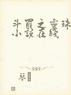 斗罗之灵珠神剑小说在线