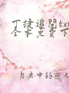 丁捷追问txt全本免费下载