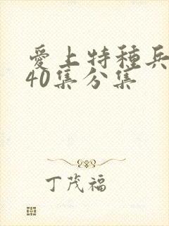 爱上特种兵1—40集分集