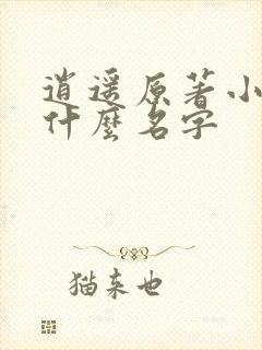 逍遥原著小说叫什么名字