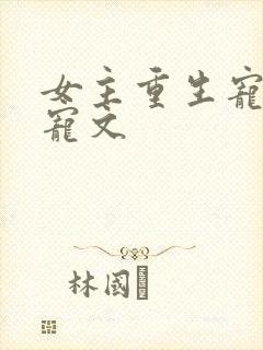 女主重生宠夫甜宠文