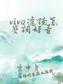 vivo滤镜怎么调好看