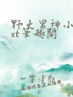 野火男神小说txt笔趣阁