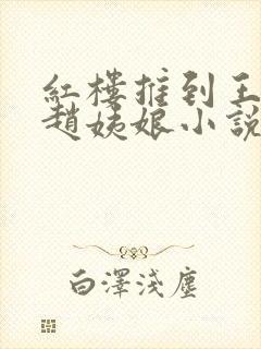 红楼推到王夫人赵姨娘小说