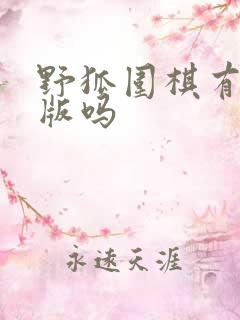 野狐围棋有电脑版吗