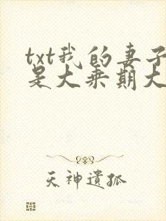 txt我的妻子是大乘期大佬下载