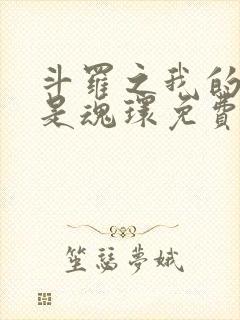 斗罗之我的武魂是魂环免费全文阅读