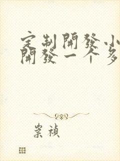 定制开发小程序开发一个多少钱