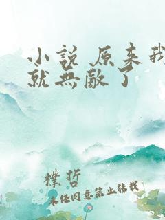 小说 原来我早就无敌了
