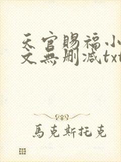 天官赐福小说全文无删减txt下载