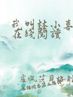 我叫林小喜小说在线阅读