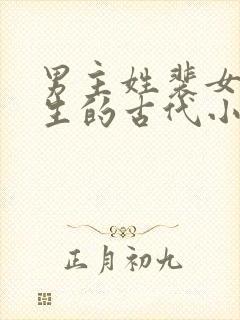 男主姓裴女主重生的古代小说