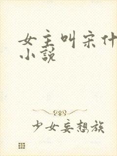 女主叫宋什么的小说