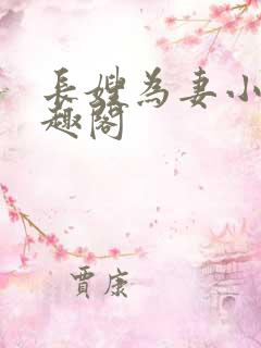 长嫂为妻小说笔趣阁