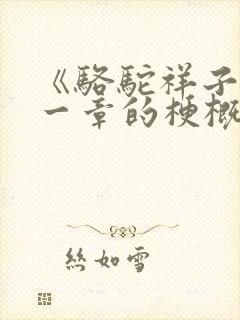 《骆驼祥子》每一章的梗概.