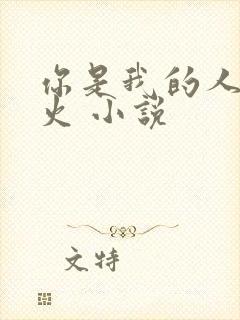 你是我的人间烟火 小说