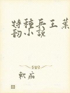 特种兵王叶凡沈韵小说